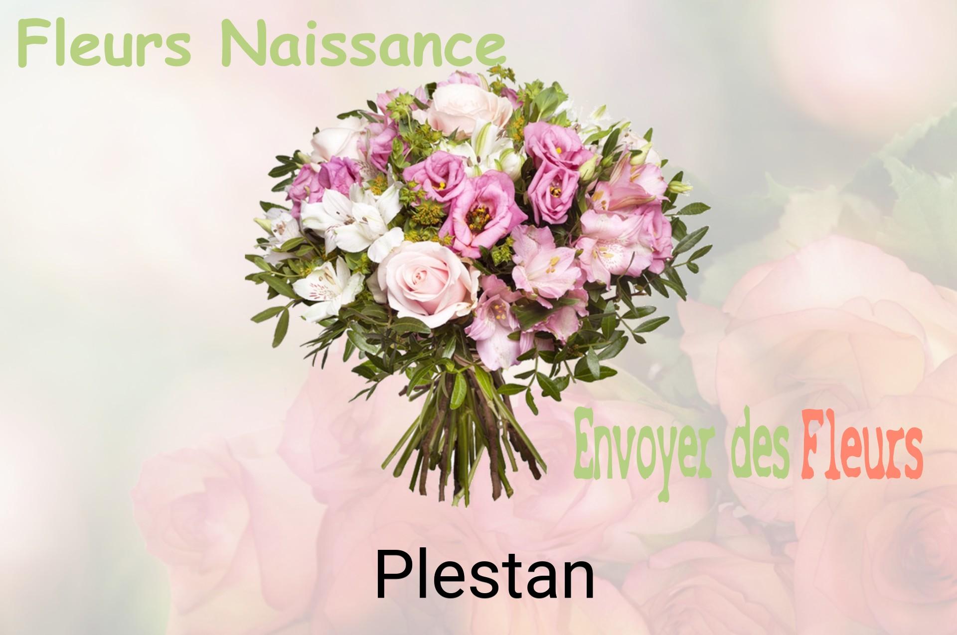 Bouquet de fleurs de naissance livré à Plestan